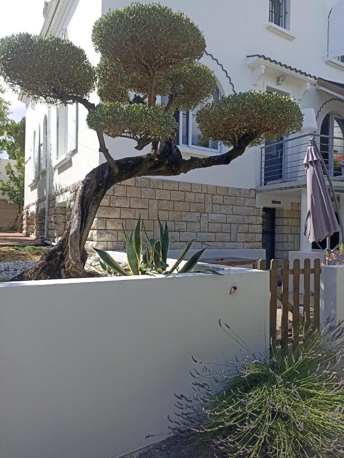 Chambres D'Hotes La Pastourelle Royan Centre Экстерьер фото